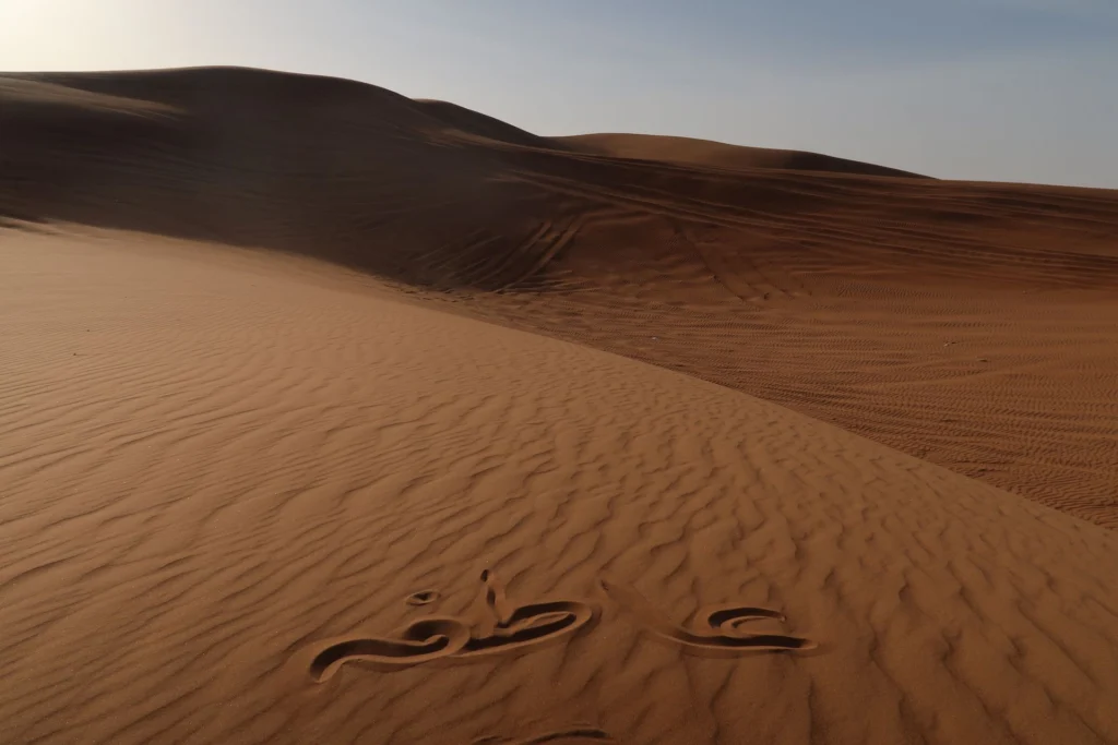 Sanddünen in der Wüste von Dubai